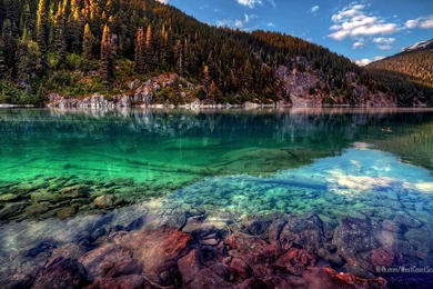 CHEER UP WALLPAPER   (