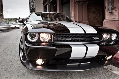 Car Wallpapers   Dodge Challenger SRT8 392   2012