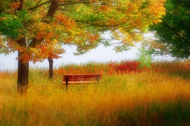 TO REST AT THE LAKE WALLPAPER   (