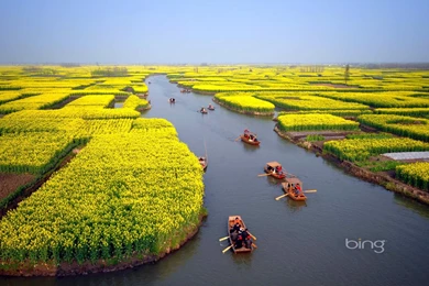 How To Set Bing Backgrounds As Wallpapers On Your Desktop