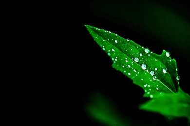 Abstract Wallpaper, Hd Artworks, Colorful Backgrounds, Cute, High ...