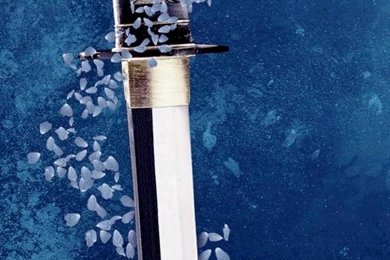 Wallpapers Pictures Photos: Katana Swords Pictures