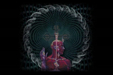 Tool Band Wallpapers Hd   Free Android Application   Createapk.com