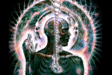 Lateralus Based Animation By Tool band On DeviantArt