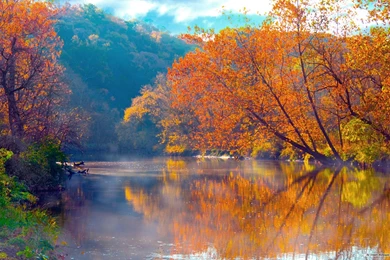 Pictures Of Nature Scenery Wallpapers Wide   Kemecer.com