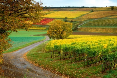 Beautiful Scenery Wallpapers HD Pictures