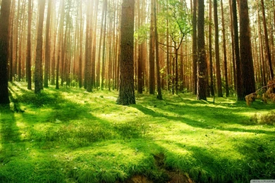 Pictures Of Nature Scenery Wallpapers Wide   Kemecer.com