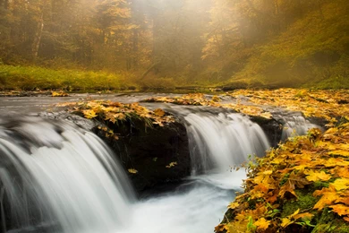 New_Landscape_Collection 03.jpg