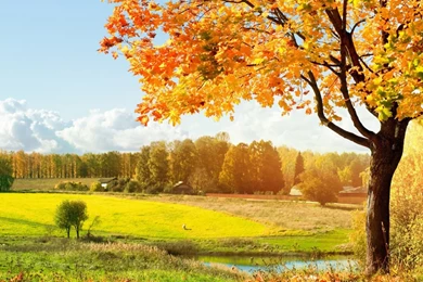 Wallpaper: Scenery Wallpapers