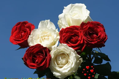 Mothers Day Wallpapers Beautiful Flowers