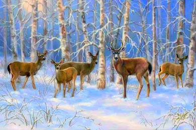 Majestic Winter Xmas New Year Paintings Christmas Deer Creative ...