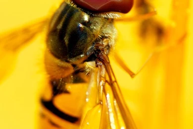 Download iPhone 5 Retina Display HD Wallpapers