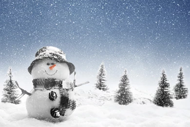 New Year's Snowman Wallpapers And Images   Wallpapers, Pictures ...