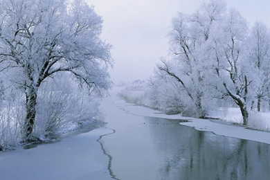 Winter Wallpapers CC   Ipadwallpaperonline