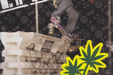 Santa Cruz Skateboards   Carolino Wallpapers Deck Ad (2007 ...
