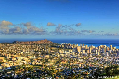 Iconic Honolulu Skyline   Hawaii Pictures