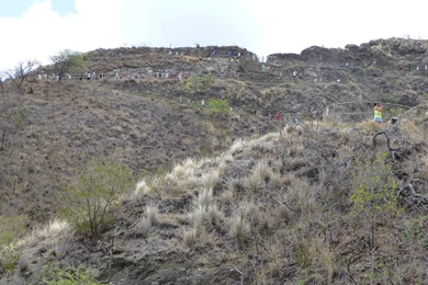 Diamond Head Le'ahi State Monument Hike