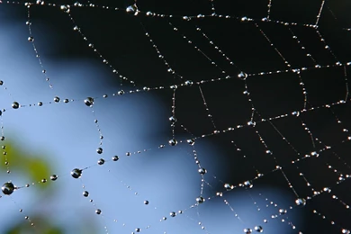 7 Inch Tablet Wallpapers   Bing Images