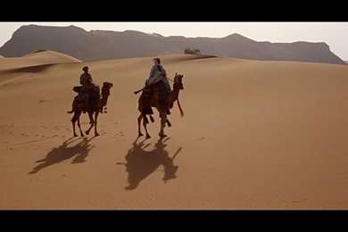 Jestingstock.com Lawrence Of Arabia Wallpapers