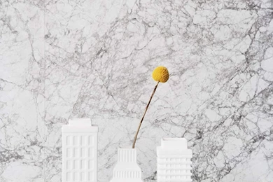 Add Marble Wallpapers To Walls   GoErie.com   Erie, PA