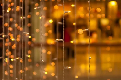 Cute Christmas Lights Wallpapers