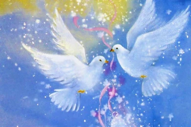 Love Birds   Cynthia selahblue (cynti19) Wallpapers (33274613)   Fanpop