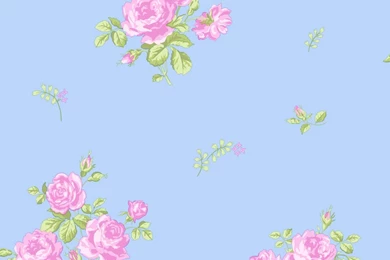 Pink Floral Feature Wallpapers 2016   White Brick Wallpapers