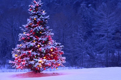 Desktop Images, Art, Amazing Pictures, Lovely Wallpapers, Cool ...