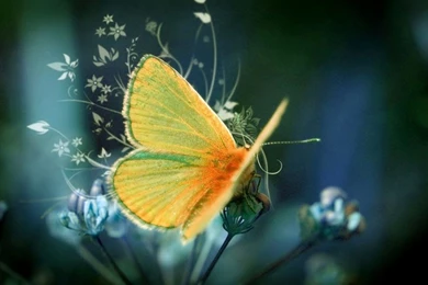 Desktop Images, Widescreen Images, Art, Colors, Amazing Pictures ...