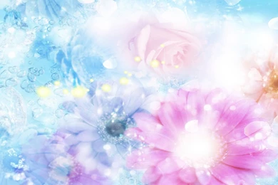 Wallpaper: Background, Blurred, Pink, Effects, Flowers, Blue Wallpapers