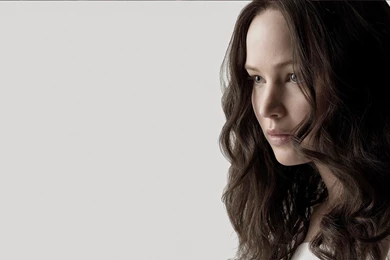 Hunger Games Mockingjay 1 11 Desktop Wallpapers   Hivewallpaper.com