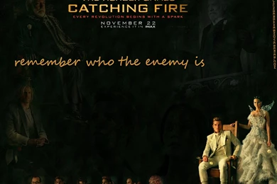 The Hunger Games Catching Fire Wallpaper.jpg
