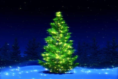 Merry Christmas HD Wall Paper 1920* 1080 Widescreen Free Download 2014