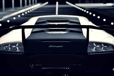 Lamborghini Murcielago Wallpapers