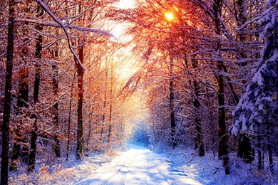 Winter Hd Wallpapers