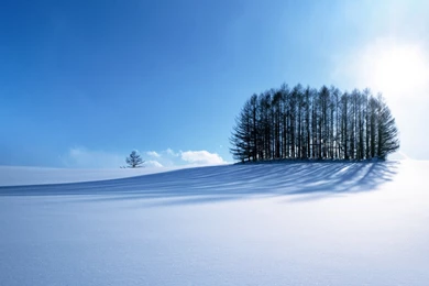 Winter Backgrounds Wallpapers
