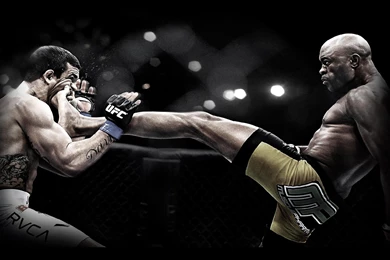 Wallpapers Ufc Anderson Silva Vitor Belfort 2560x1600