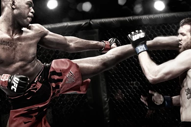 Anderson Silva Wallpaper Dekstop PC.jpg