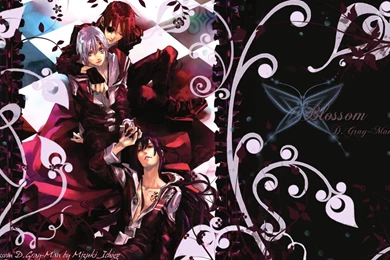 D.Gray man Computer Wallpapers, Desktop Backgrounds