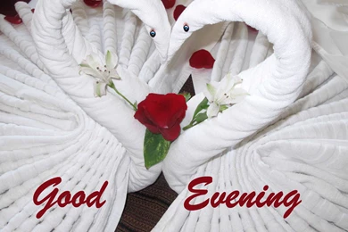 Good Evening Lovely Heart Hd Image