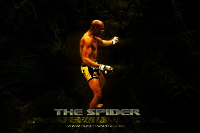Anderson Silva Wallpapers