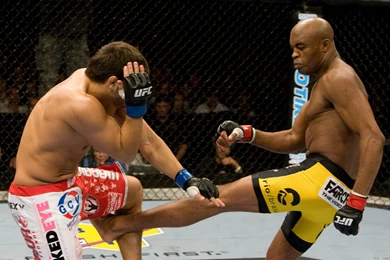 Anderson Silva Leg