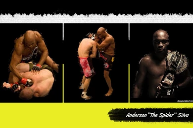 Anderson Silva Wallpapers   204964