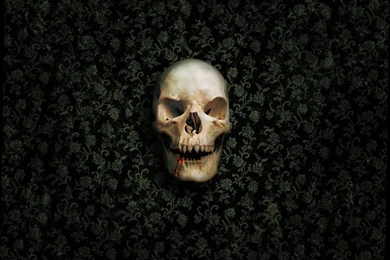 Evil Skulls Wallpapers