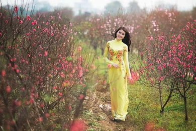 Pretty Women Smiling Girl Wallpapers   DreamLoveWallpapers