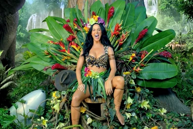 Katy Perry Flowers Hd Wallpapers   ImgMob