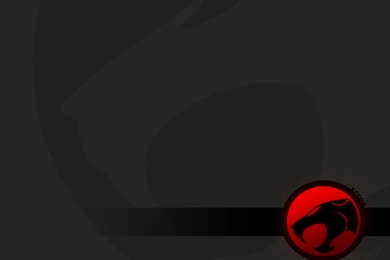 Thundercats Logo Wallpapers   Wallpapers Cave