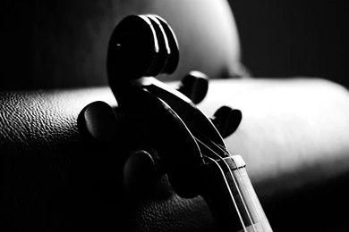 Violin Is An Instrument Wallpapers HD 8715