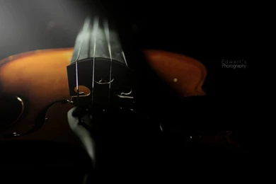 Violinist Wallpapers Desktop Backgrounds Ndemok.com