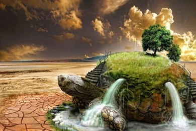 10 Tortoise Wallpaper Backgrounds   Desktop Wallpapers